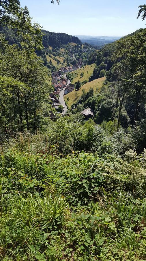 Fewo Bergblick Osterode am Harz Eksteriør bilde