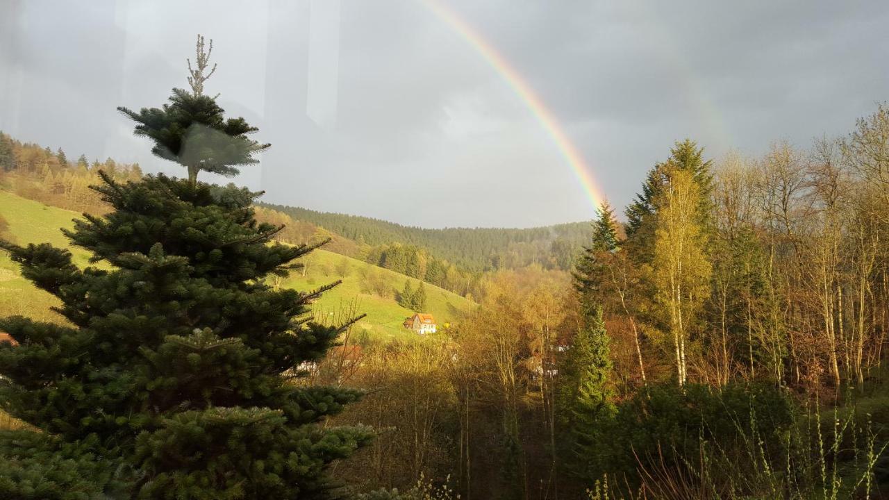Fewo Bergblick Osterode am Harz Eksteriør bilde